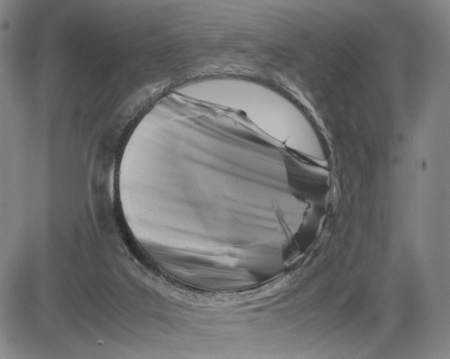 X0000083640019200703051712