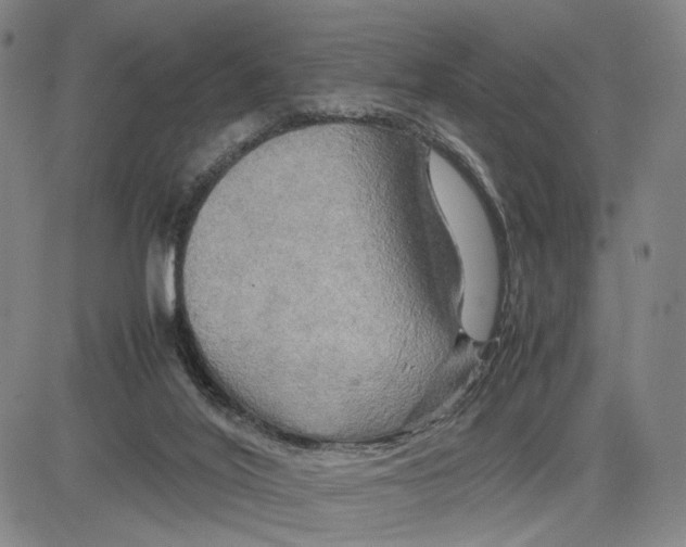 X0000083640020200703051712