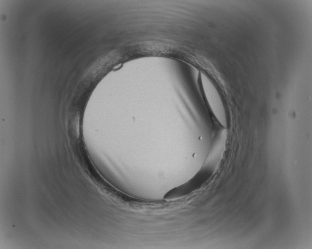 X0000083640021200703051712