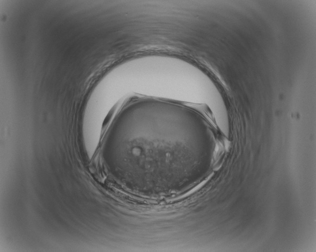 X0000083640023200703051712