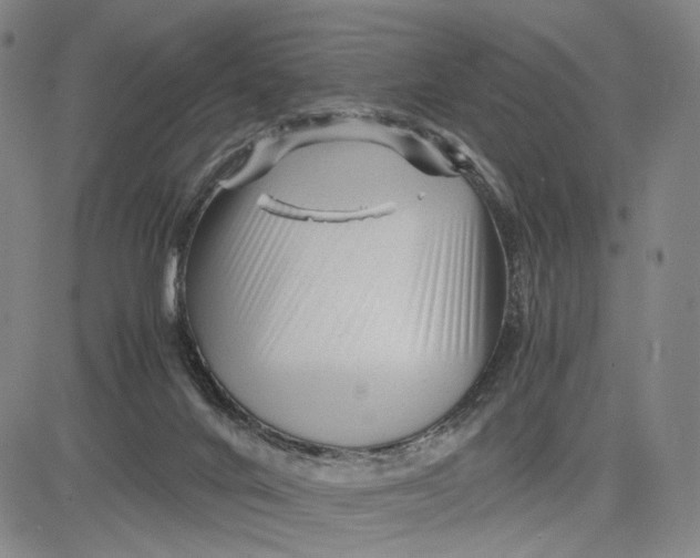 X0000083640024200703051712