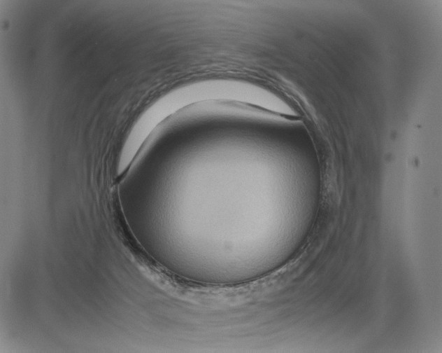 X0000083640025200703051712