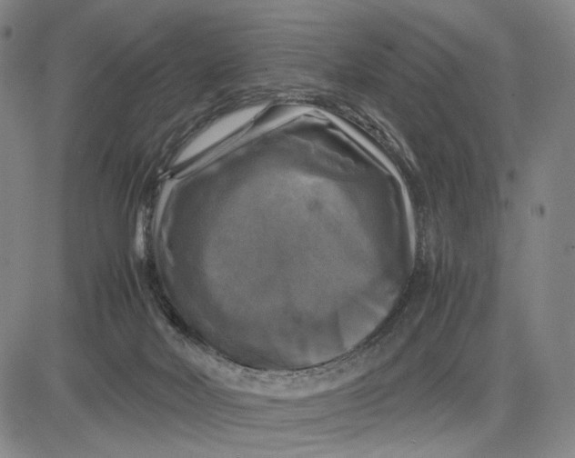 X0000083640026200703051712