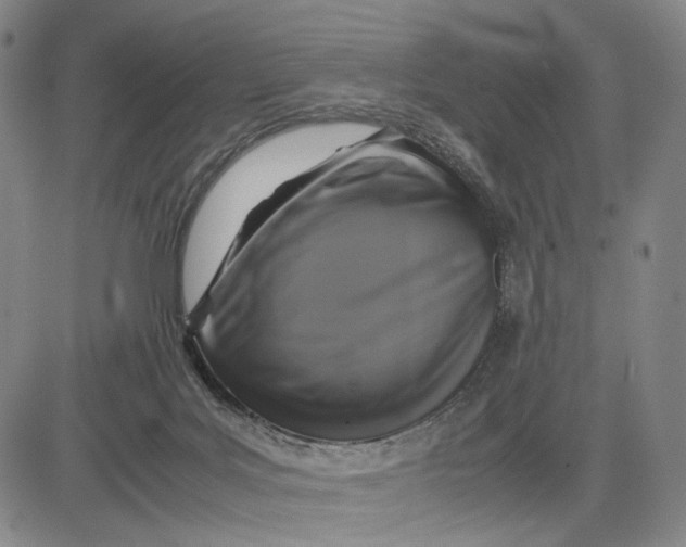 X0000083640027200703051712