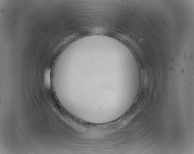 X0000083640028200703051712