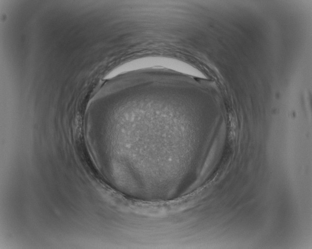 X0000083640029200703051712