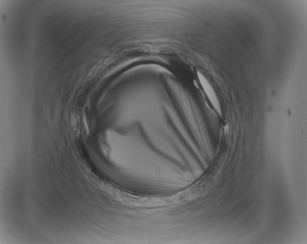 X0000083640031200703051712