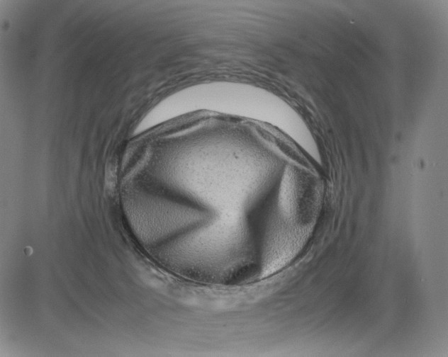 X0000083640033200703051712