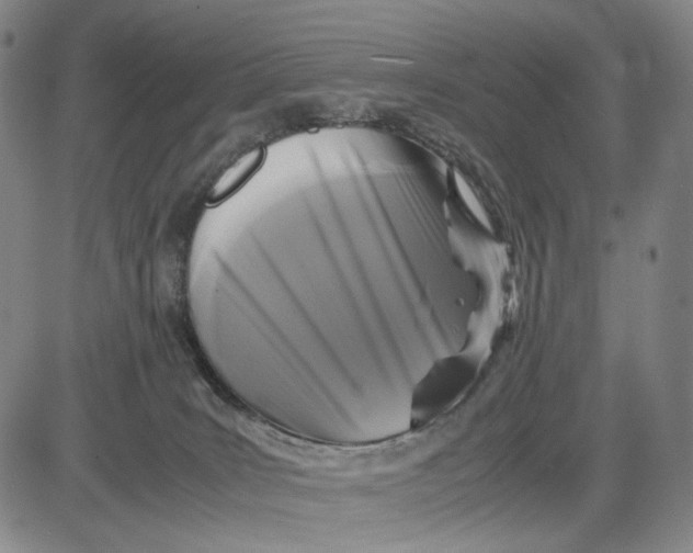 X0000083640035200703051712