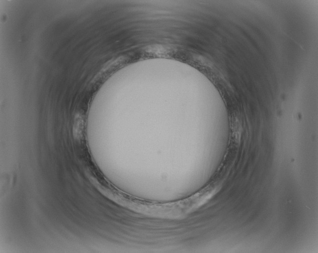 X0000083640036200703051712