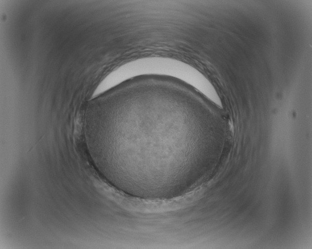 X0000083640037200703051712