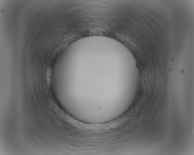 X0000083640038200703051712