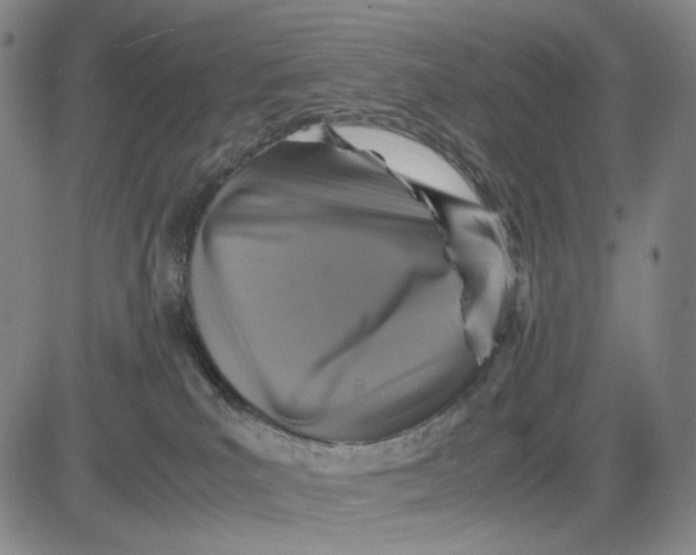 X0000083640039200703051712