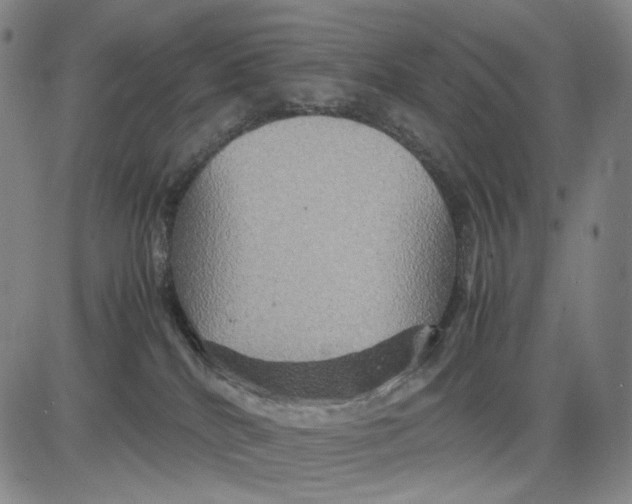 X0000083640040200703051712