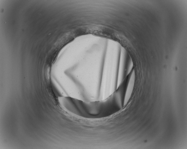 X0000083640041200703051712