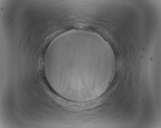 X0000083640043200703051712