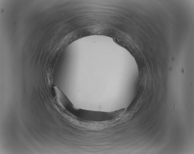 X0000083640044200703051712