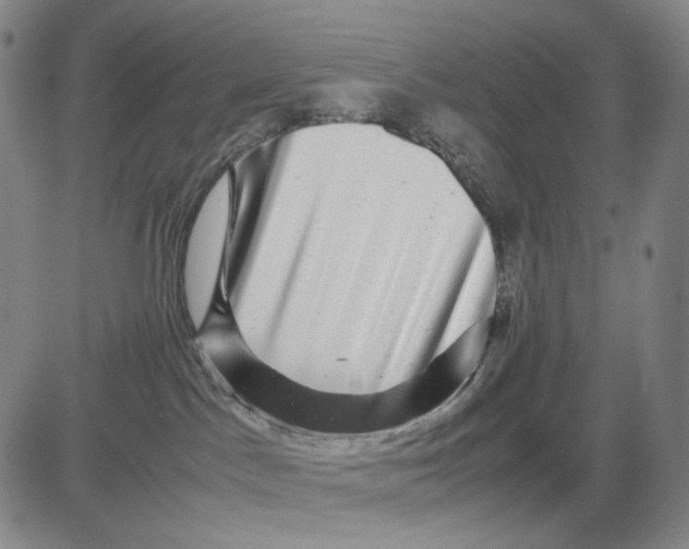 X0000083640045200703051712