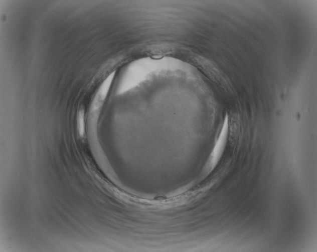 X0000083640046200703051712