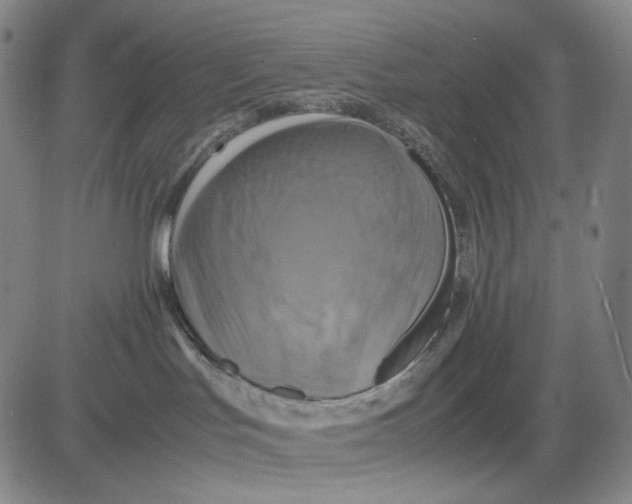 X0000083640047200703051712