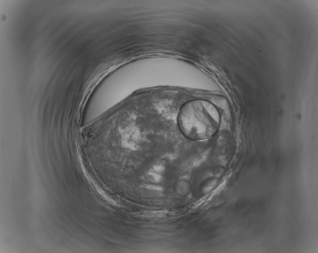 X0000083640049200703051711