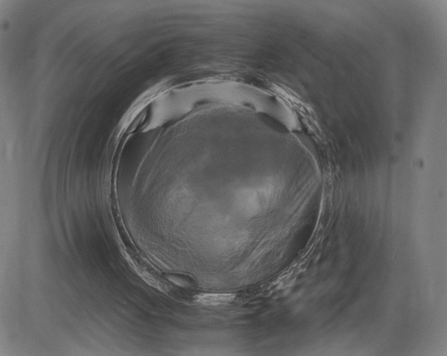 X0000083640051200703051711