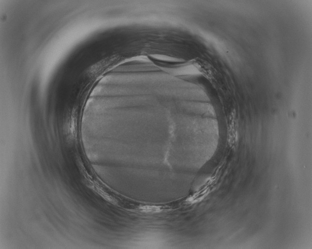 X0000083640052200703051711