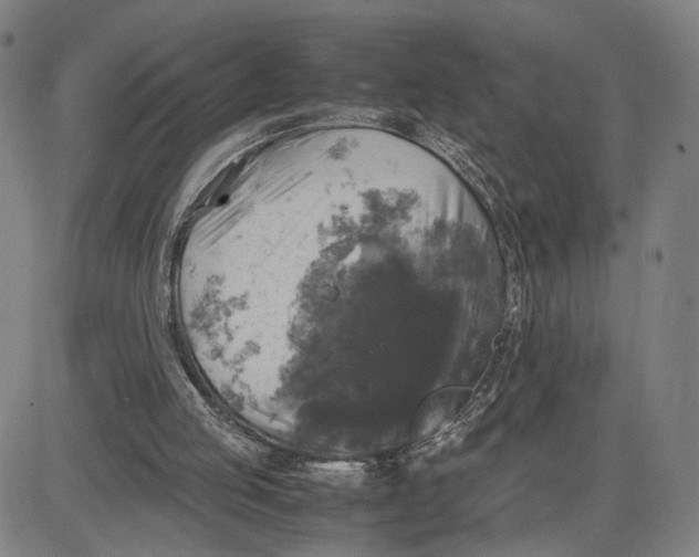 X0000083640053200703051711