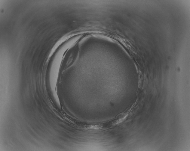 X0000083640056200703051711