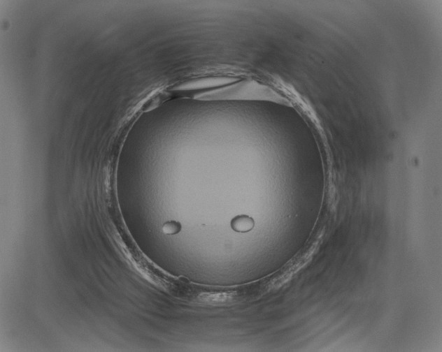 X0000083640057200703051711