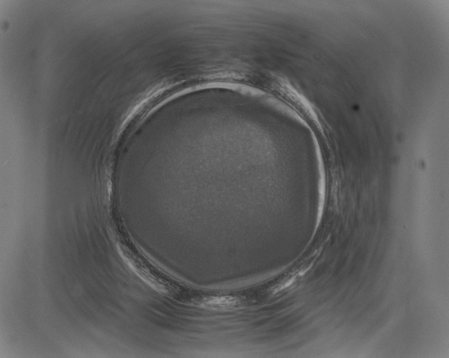 X0000083640059200703051711