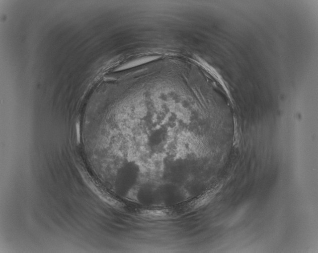 X0000083640061200703051711