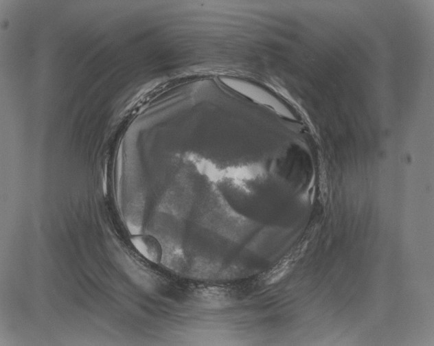 X0000083640062200703051711