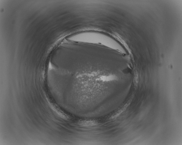 X0000083640063200703051711