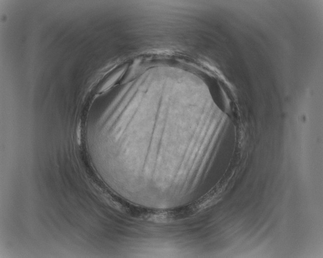 X0000083640068200703051711