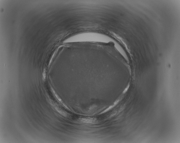 X0000083640069200703051711