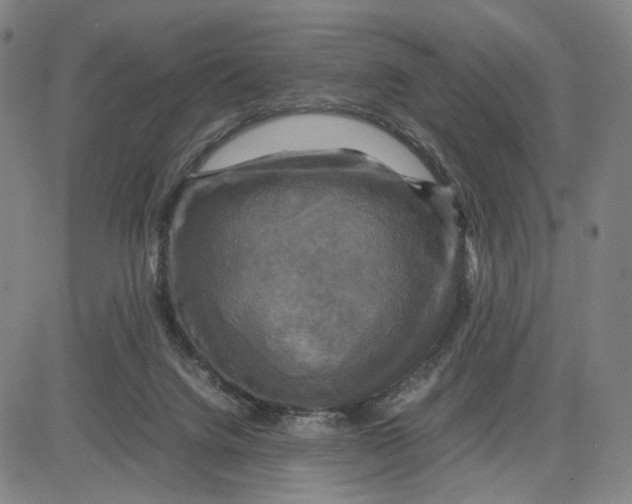 X0000083640072200703051711