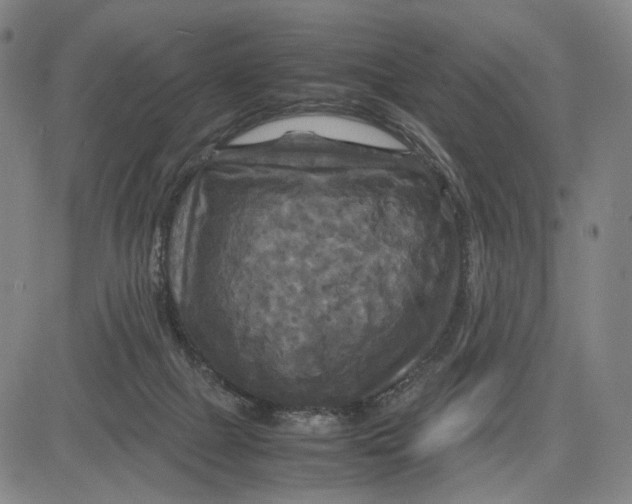 X0000083640073200703051711