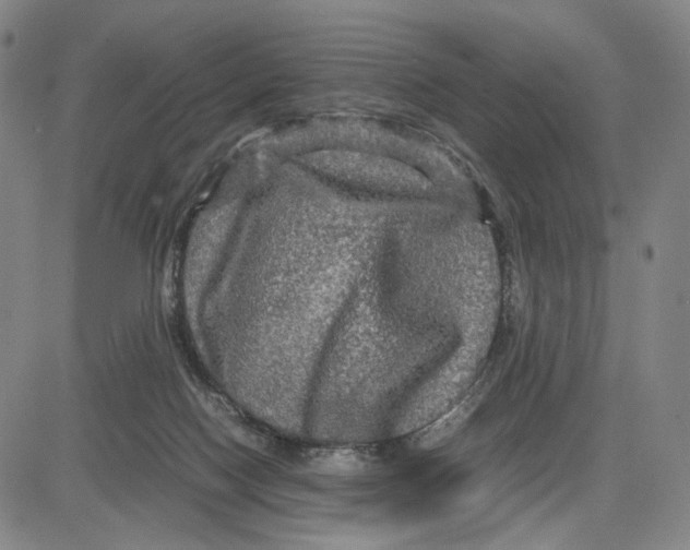 X0000083640074200703051711