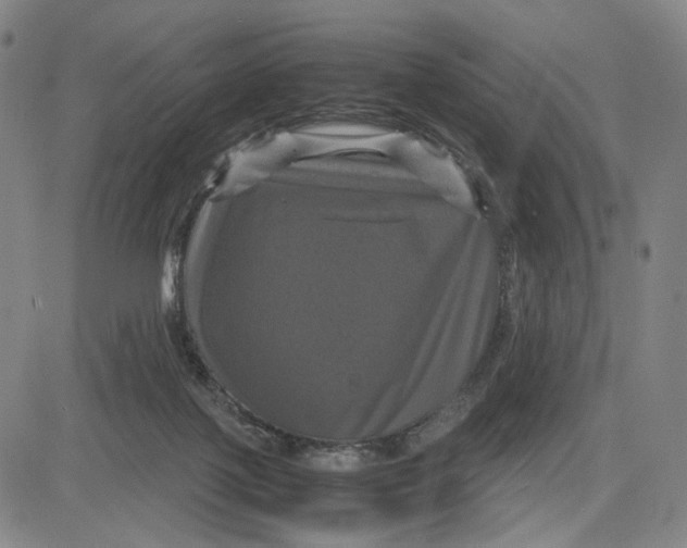 X0000083640075200703051711