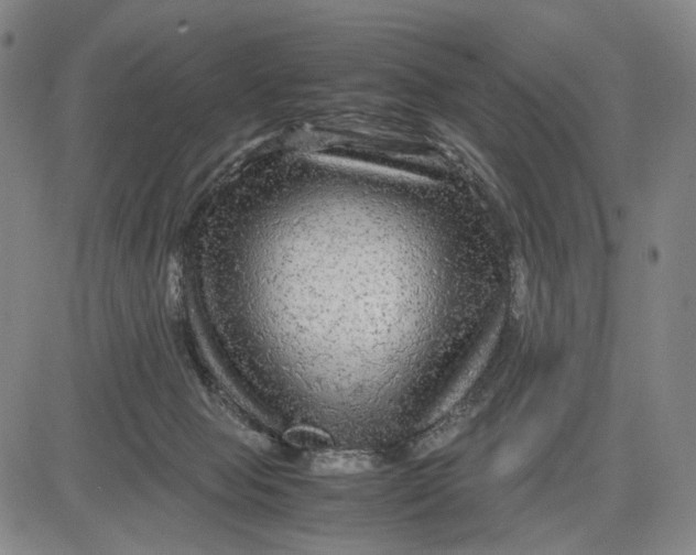 X0000083640077200703051711