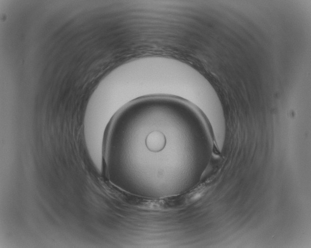 X0000083640080200703051711