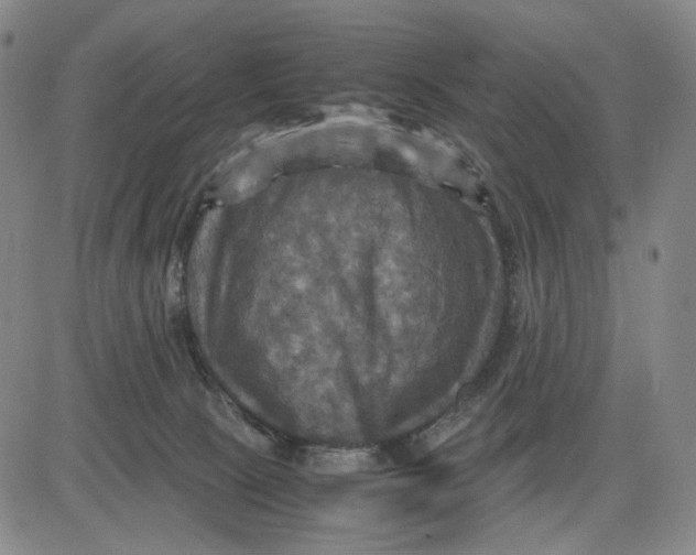 X0000083640081200703051711