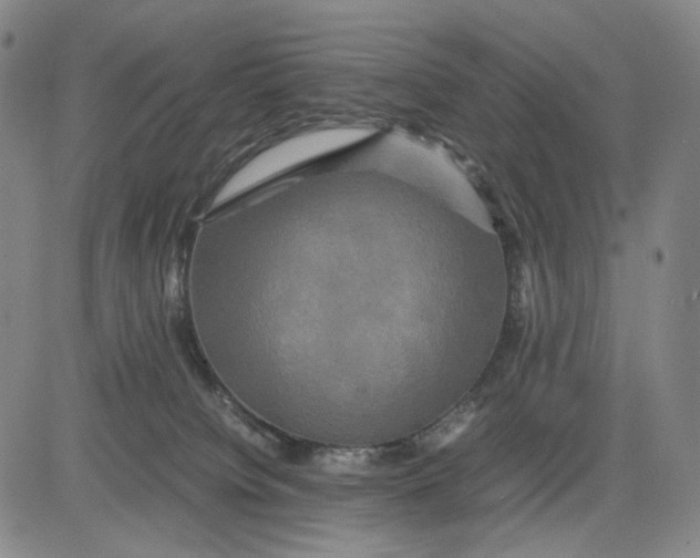 X0000083640084200703051711