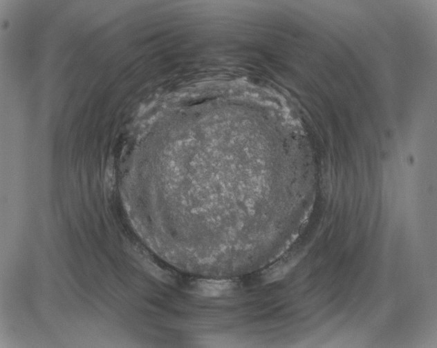 X0000083640085200703051711