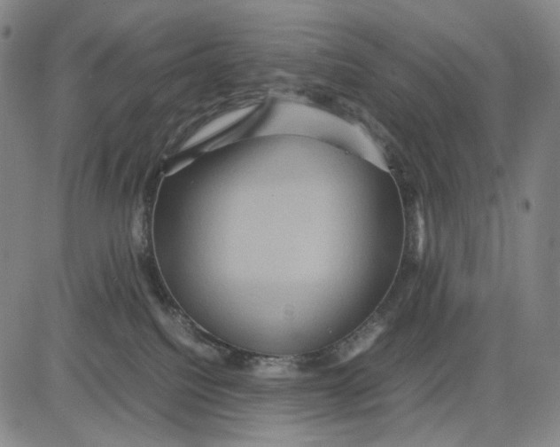 X0000083640088200703051711