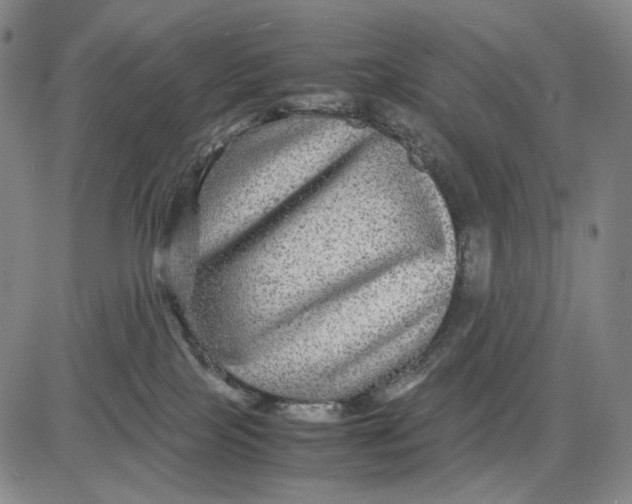 X0000083640089200703051712