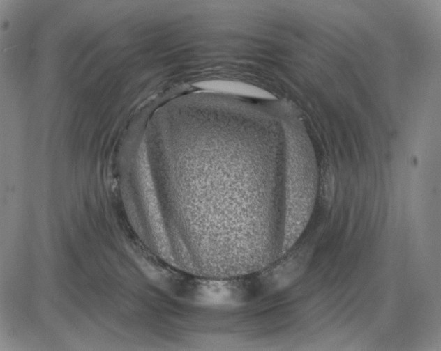 X0000083640091200703051712