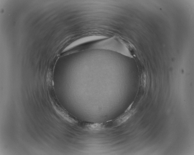 X0000083640092200703051712