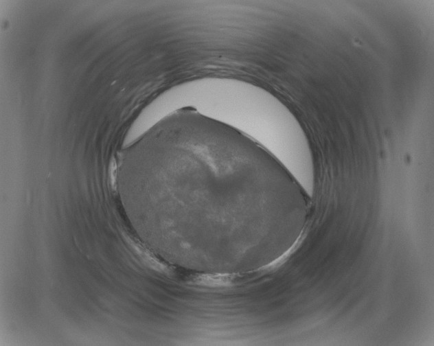 X0000083640094200703051712